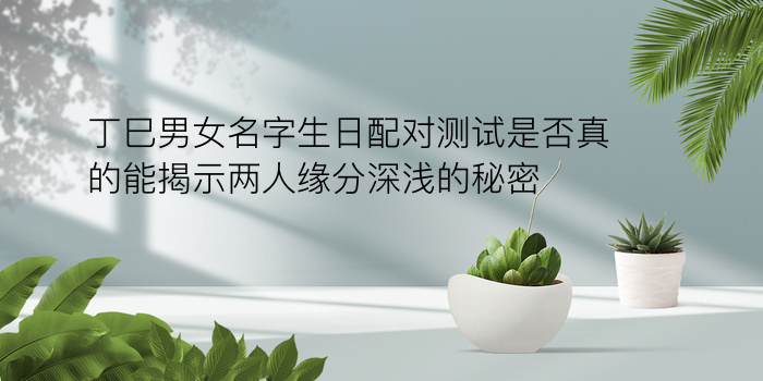 生肖年份配对图片游戏截图