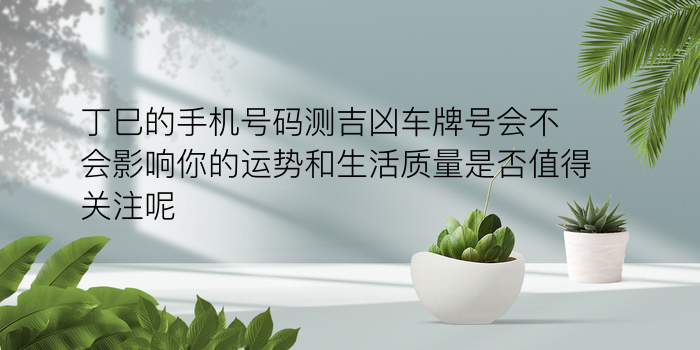 生日测试配对游戏截图