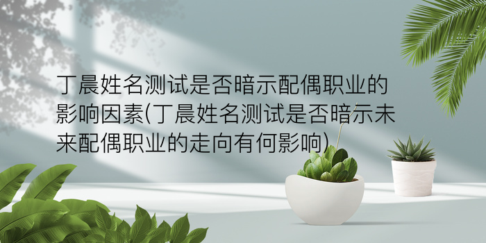 诸葛测字中华网游戏截图