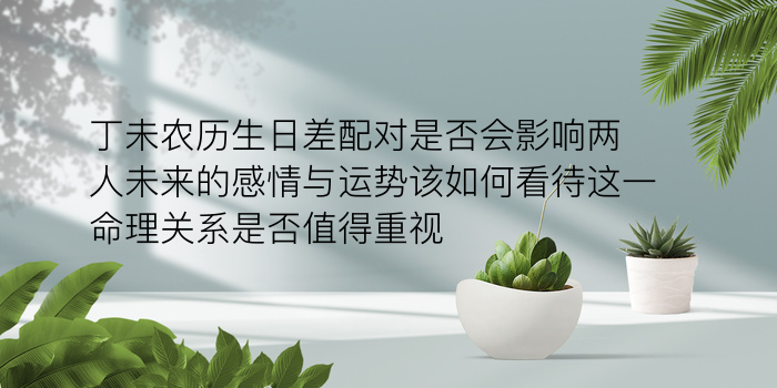 时间生肖配对手机号游戏截图