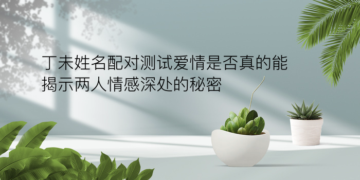 n姓名配对游戏截图