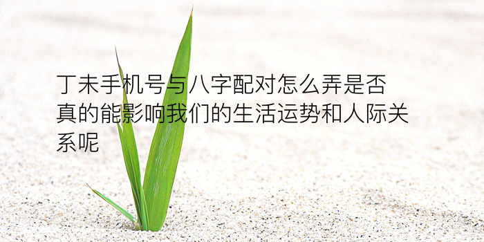 生肖生日配对游戏截图