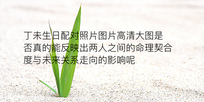 车牌吉凶假的游戏截图