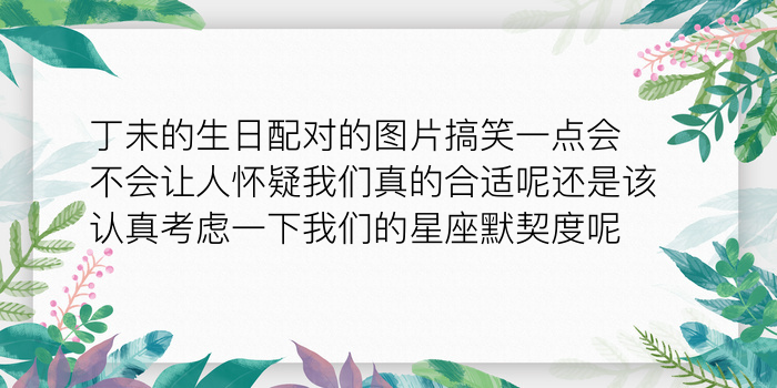 生辰配对手机号游戏截图