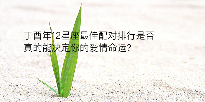 丁酉年12星座最佳配对排行是否真的能决定你的爱情命运？