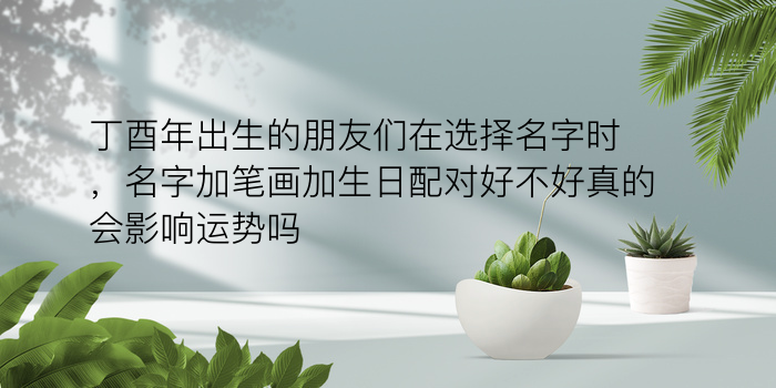 生肖配对顺口溜游戏截图