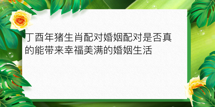 生日月份配对游戏截图