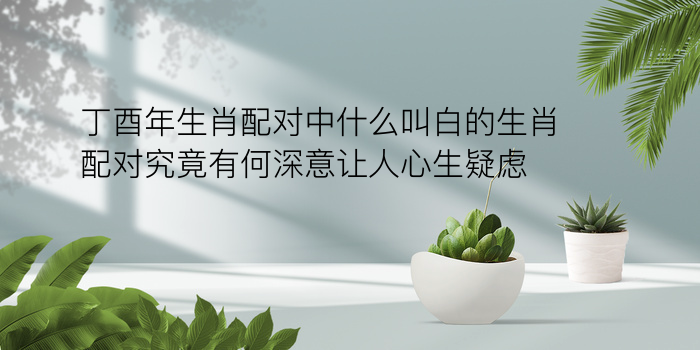 姓名星座配对游戏截图