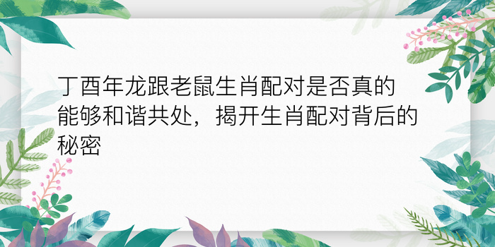 丁酉年龙跟老鼠生肖配对是否真的能够和谐共处，揭开生肖配对背后的秘密