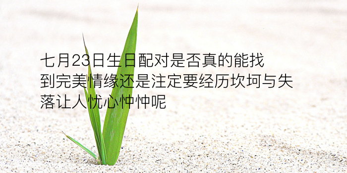 车牌号码吉凶测表游戏截图