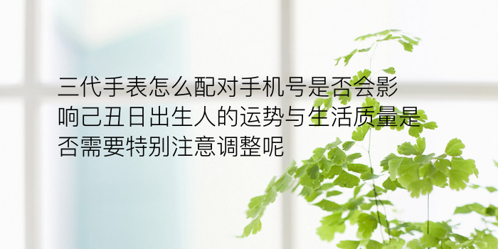 小车牌吉凶游戏截图