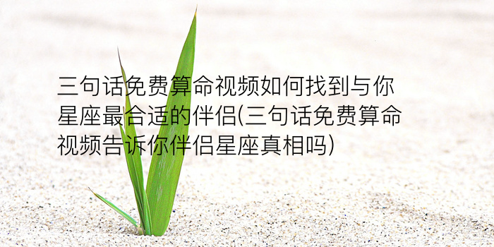 诸葛测字171签好吗游戏截图