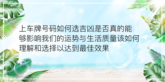 测测车牌号码吉凶打分游戏截图