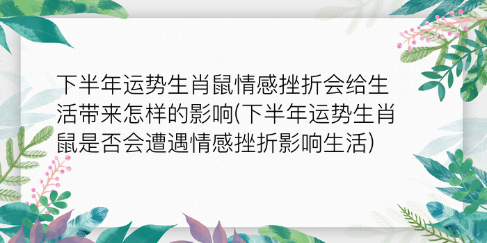 二零二算运网