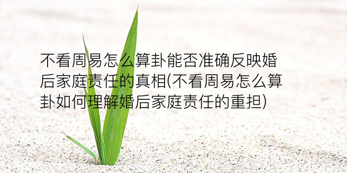 诸葛占卜测字游戏截图