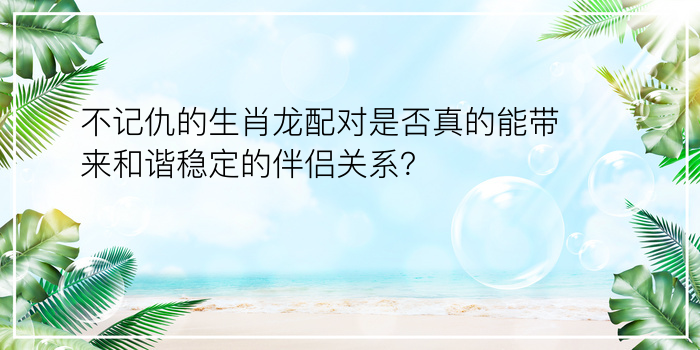 不记仇的生肖龙配对是否真的能带来和谐稳定的伴侣关系？