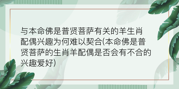 本命年犯太岁如何化解游戏截图