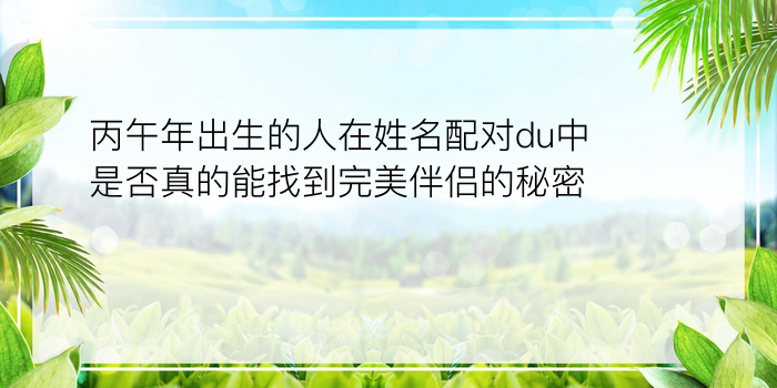 丙午年出生的人在姓名配对du中是否真的能找到完美伴侣的秘密