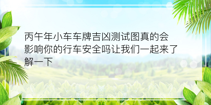 丙午年小车车牌吉凶测试图真的会影响你的行车安全吗让我们一起来了解一下