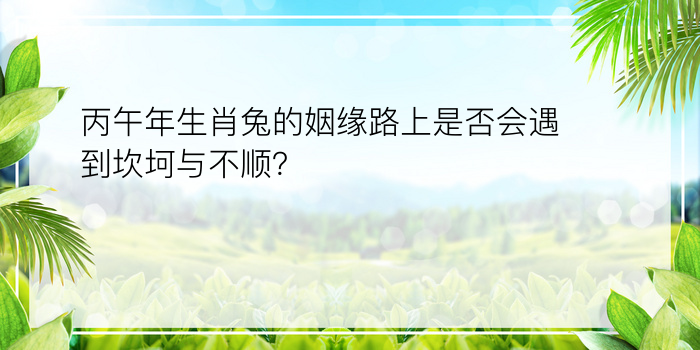 丙午年生肖兔的姻缘路上是否会遇到坎坷与不顺？