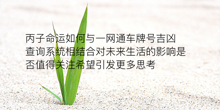 龙配对什么生肖游戏截图