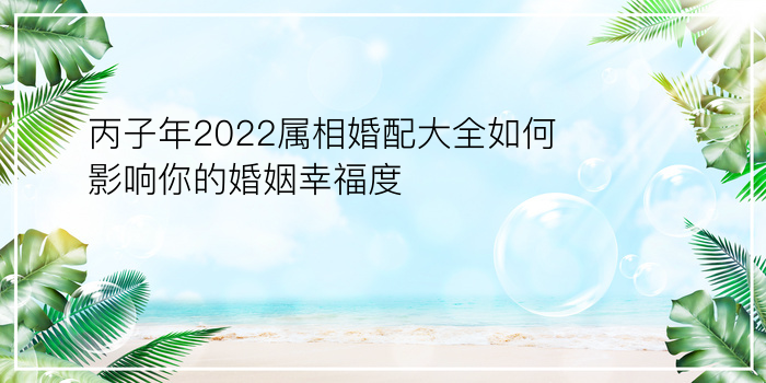 丙子年2022属相婚配大全如何影响你的婚姻幸福度