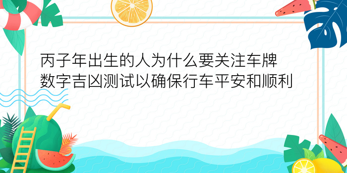 丙子年出生的人为什么要关注车牌数字吉凶测试以确保行车平安和顺利呢