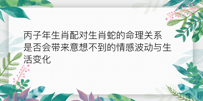 姓名配对测试两人爱情游戏截图