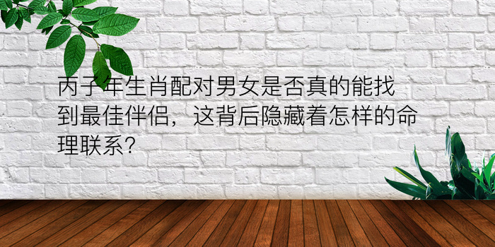 丙子年生肖配对男女是否真的能找到最佳伴侣，这背后隐藏着怎样的命理联系？