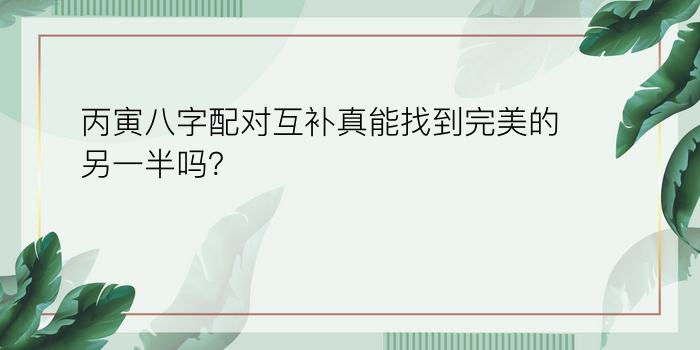 丙寅八字配对互补真能找到完美的另一半吗？