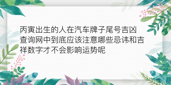 周易测车牌号吉凶查询游戏截图