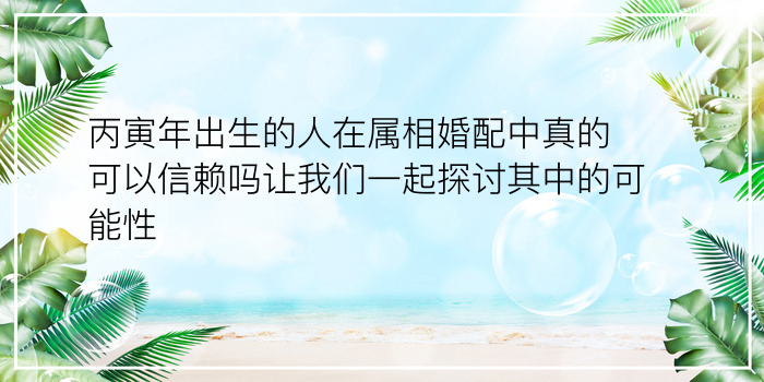 丙寅年出生的人在属相婚配中真的可以信赖吗让我们一起探讨其中的可能性