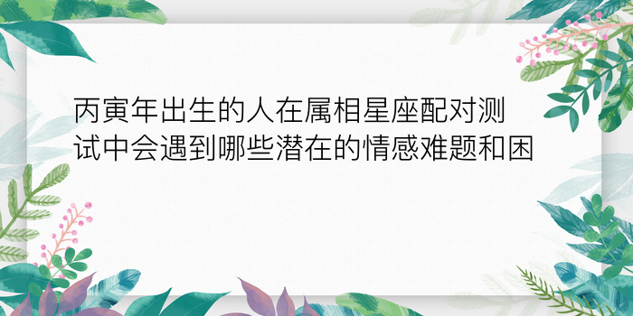 丙寅年出生的人在属相星座配对测试中会遇到哪些潜在的情感难题和困惑