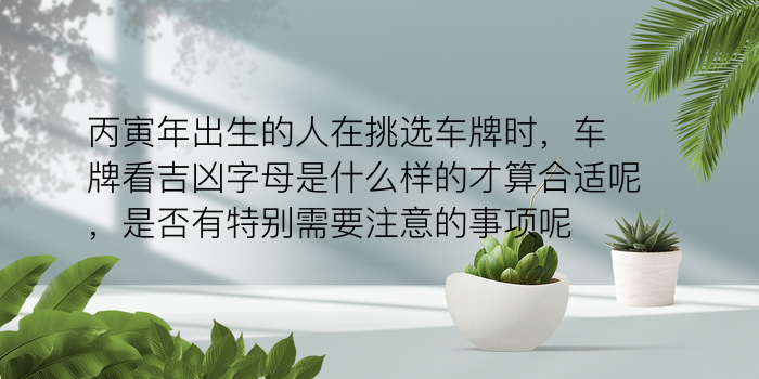 姓名配对y游戏截图