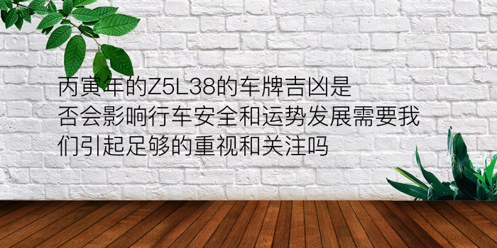 丙寅年的Z5L38的车牌吉凶是否会影响行车安全和运势发展需要我们引起足够的重视和关注吗