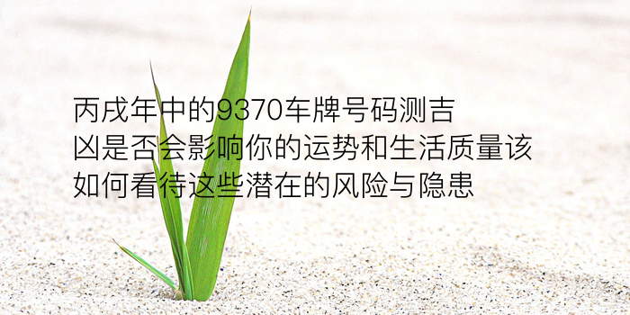 丙戌年中的9370车牌号码测吉凶是否会影响你的运势和生活质量该如何看待这些潜在的风险与隐患