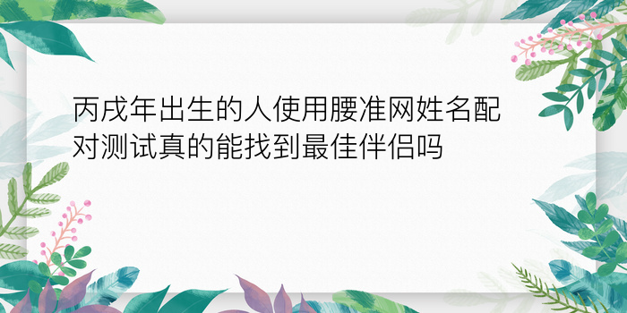 丙戌年出生的人使用腰准网姓名配对测试真的能找到最佳伴侣吗