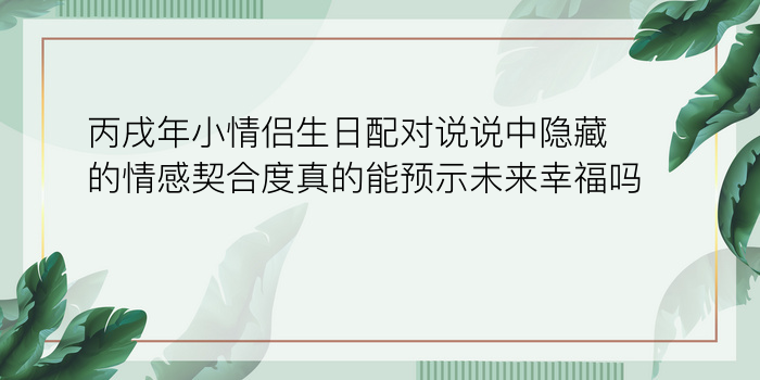 丙戌年小情侣生日配对说说中隐藏的情感契合度真的能预示未来幸福吗