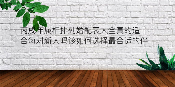 丙戌年属相排列婚配表大全真的适合每对新人吗该如何选择最合适的伴侣