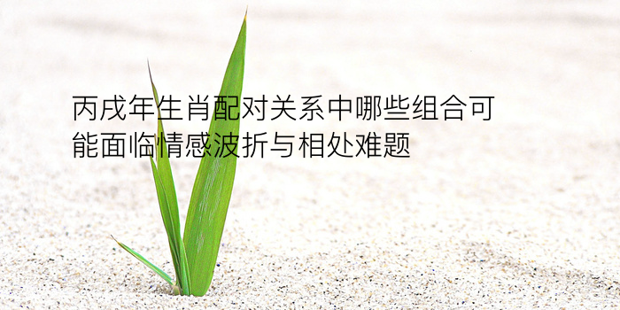 分配对象生日游戏截图