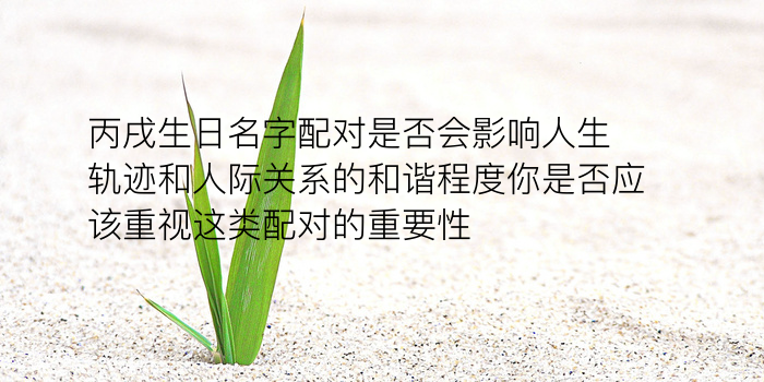 号码吉凶车牌号码游戏截图