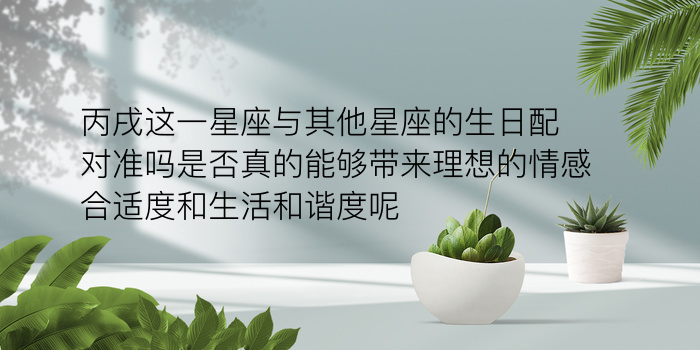 生肖配对表图片游戏截图