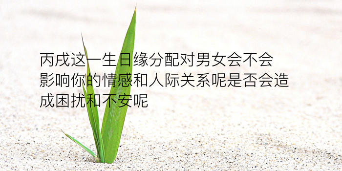 分配对象怎么手机号游戏截图