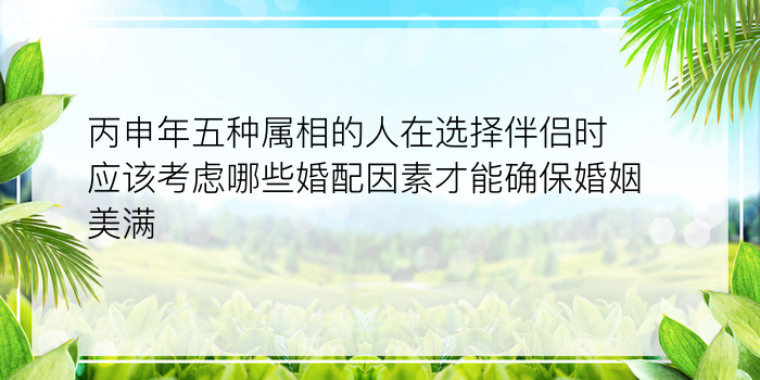 婚配属相88男龙87女兔游戏截图