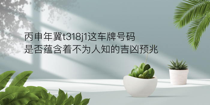 车牌号码吉凶打分游戏截图