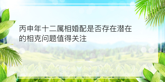 丙申年十二属相婚配是否存在潜在的相克问题值得关注