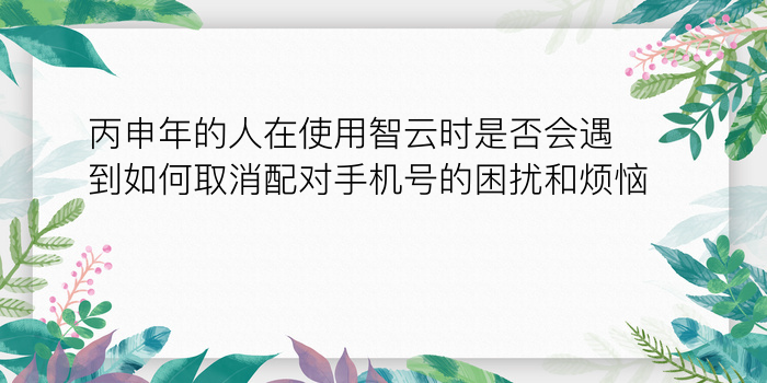 车牌号码测吉凶哪个好游戏截图