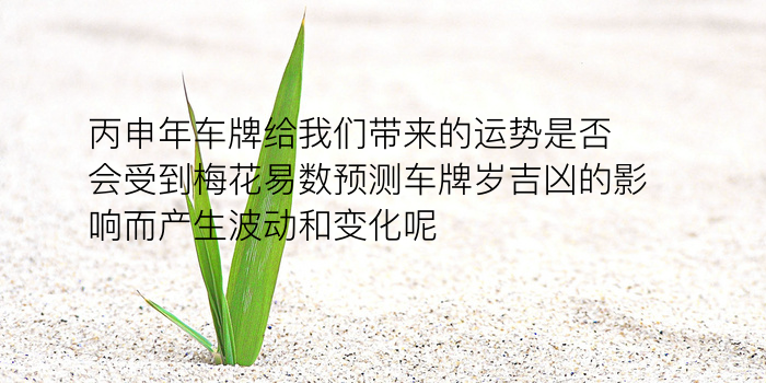 车牌子测吉凶游戏截图