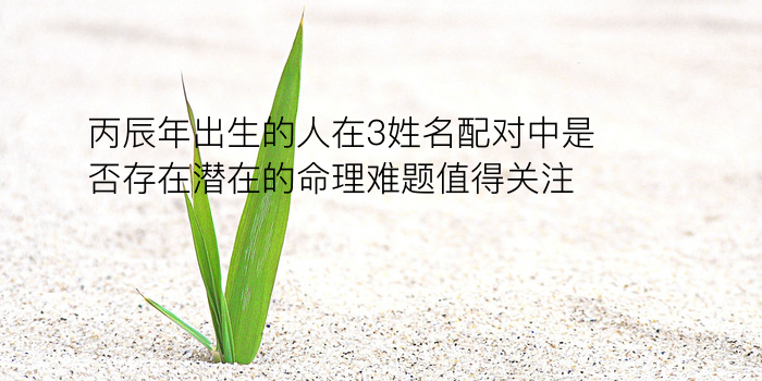 紫薇网恋爱姓名配对游戏截图