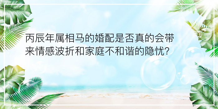 汽车车牌吉凶测试打分游戏截图